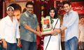 SVSC Triple Platinum Disc Function - Seethamma Vakitlo Sirimalle Chettu Event Photos