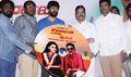 Saravanan Engira Surya Movie Audio Launch - Bosepandi