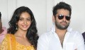 Pandaga Chesko Movie Opening - Pandaga Chesko Event Photos