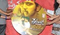 Premalo ABC Audio Release Function - Premalo ABC Event Photos