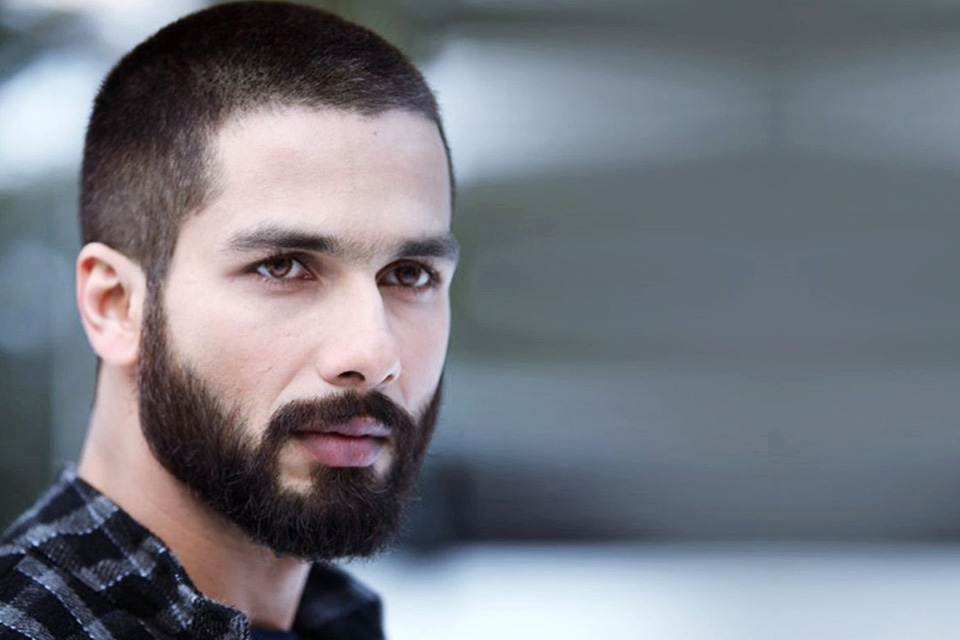 Haider (Haider)