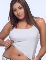 Namitha sizzles in Black Stallion