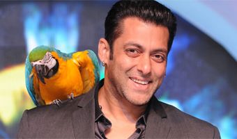 Two evictions on Bigg Boss 6 this week