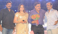 Amabreesh's 60th birthday bash, a gala affair