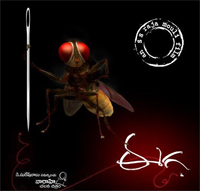 No decision yet on Eega Hindi 3 D version: Suresh Babu