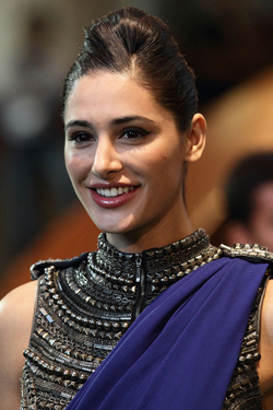 I never wanted to be an actress: Nargis Fakhri