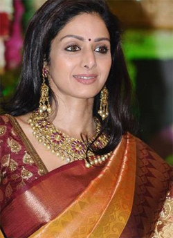 Sridevi mum on Himmatwala remake, says Mr. India 2 starts next year