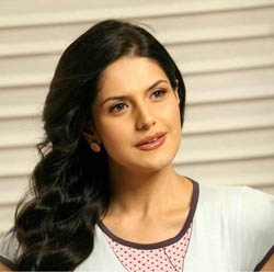Zarine Khan offered Hollywood film