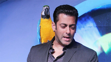 Salman perfect host for Bigg Boss: Apurva