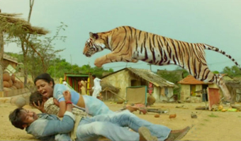 Himmatwala Ajay fights a tiger, again