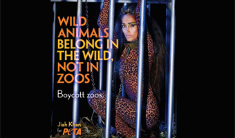 Jiah Khan helped animals in distress: PETA India