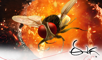 Eega triumphs at Filmfare Awards