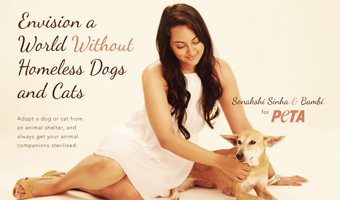 Adopt cats, dogs: Sonakshi Sinha 
