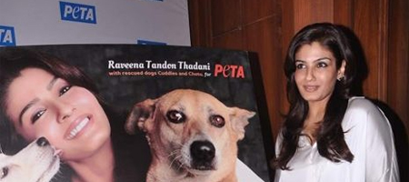 Adopt stray dogs, appeals Raveena Tandon