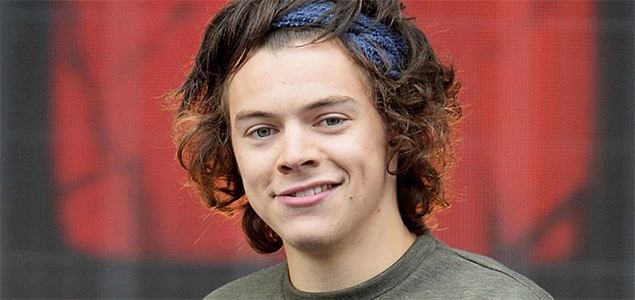 One Directions Harry Styles fuelled bisexuality rumours after a recent interview