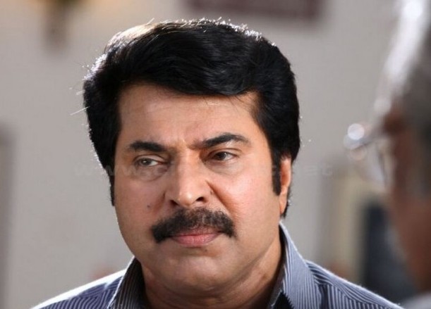 Mammoottty sells fish at Kochi