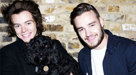 Bandmates shoot down One Direction split up rumours