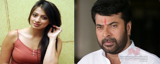 Lakshmi Rai to be Mammoottys heroine