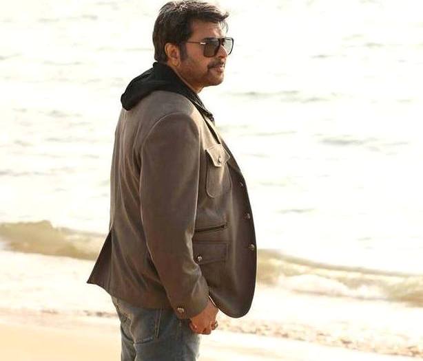 Handful of movies for Mammootty 