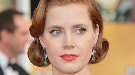Amy Adams gives first class seat to soldier