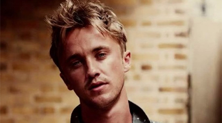Tom Felton gets adoption proposals