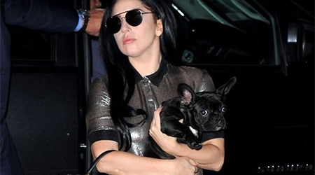 Gagas former aide to release tell all book