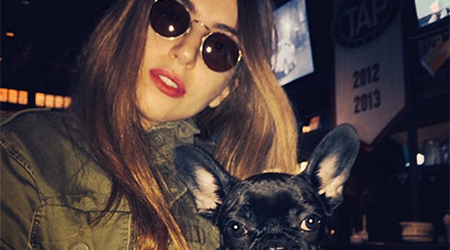 Lady Gagas dog Asia banned from Asia