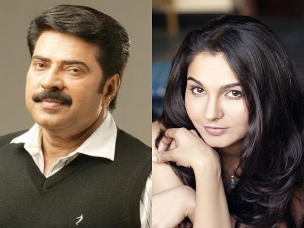 Andrea Jeremiah to play Mammoottys heroine