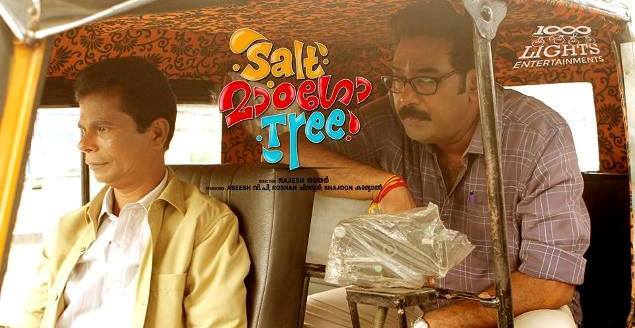 Salt Mango Tree shoot wrapped up