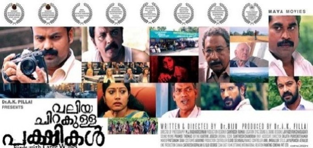 Valiya Chirakulla Pakshikal from December 4th