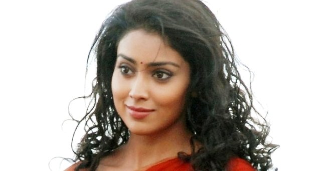 Shriya Saran to be the lead lady in Hindi Drishyam 