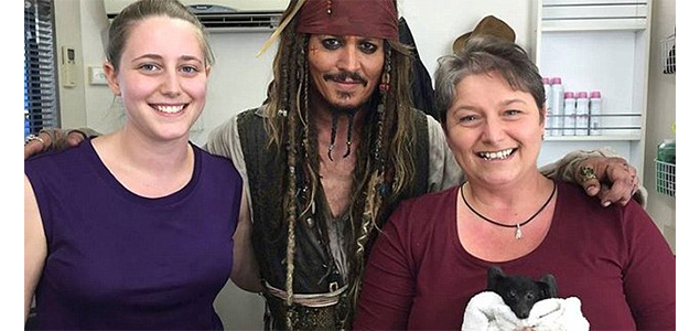 Johnny Depp adopts bat while filming Pirates of the Caribbean 5, names it Jacki Sparrow
