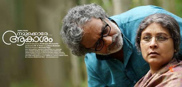 Joy Mathew in Namukkore Akasham