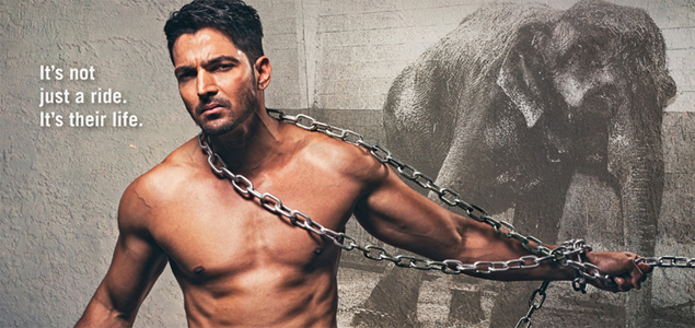 Harshvardhan Rane draws attention to abused elephants