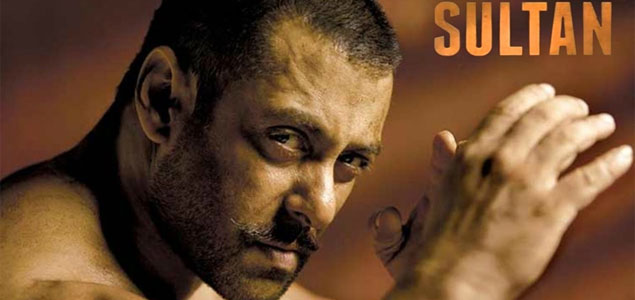 Stories regarding plot of Sultan are baseless: Director