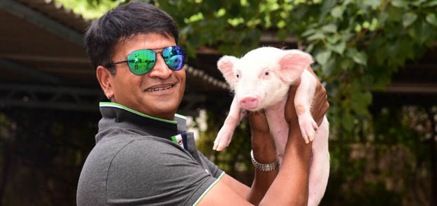 Interesting title for Ravibabus Piglet film