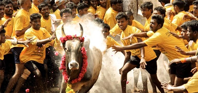 Nadigar Sangam protests for Jallikattu