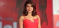 No Hindi film for Priyanka Chopra this year! 