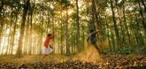 Visual Masterpieces: Celebrating Extraordinary Cinematography in Indian Cinema