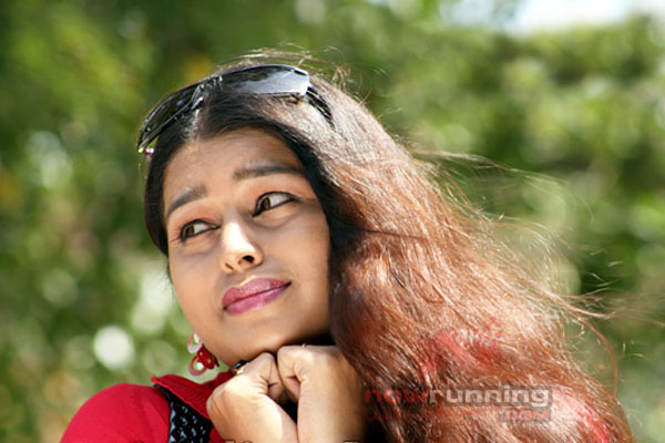  Pictures