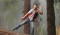 Parugu Photo 1