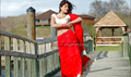 Sangamam Photo 1