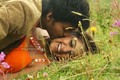 Villu Photo 4