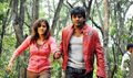 Nanda Photo 1