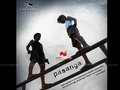 Pasanga Wallpaper 4