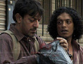 Siddharth - The Prisoner Photo 4