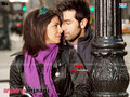 Anjaana Anjaani Wallpaper 3