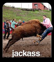 Click to know more about Jackass