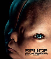 Click to know more about Splice