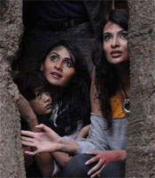 Click to know more about Kaattu Puli